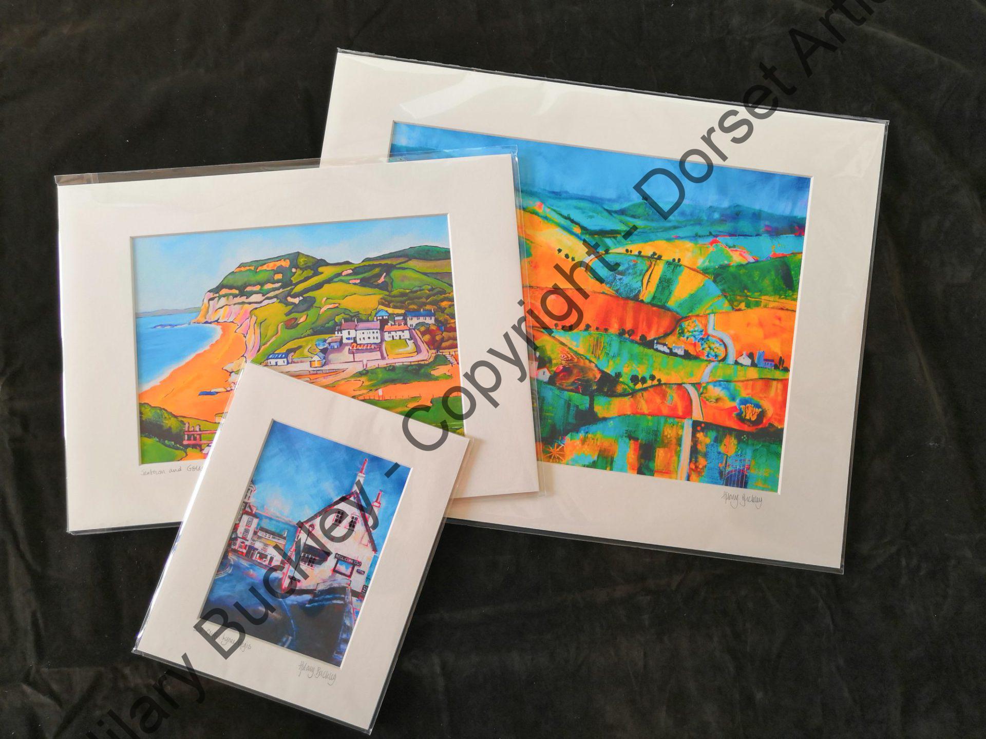 Examples of Small, Medium, and Large Mounted Prints