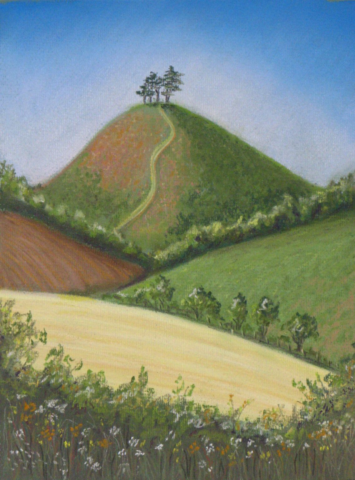 Colmers Hill Iii Hilary Buckley Dorset Artist Lyme Regis