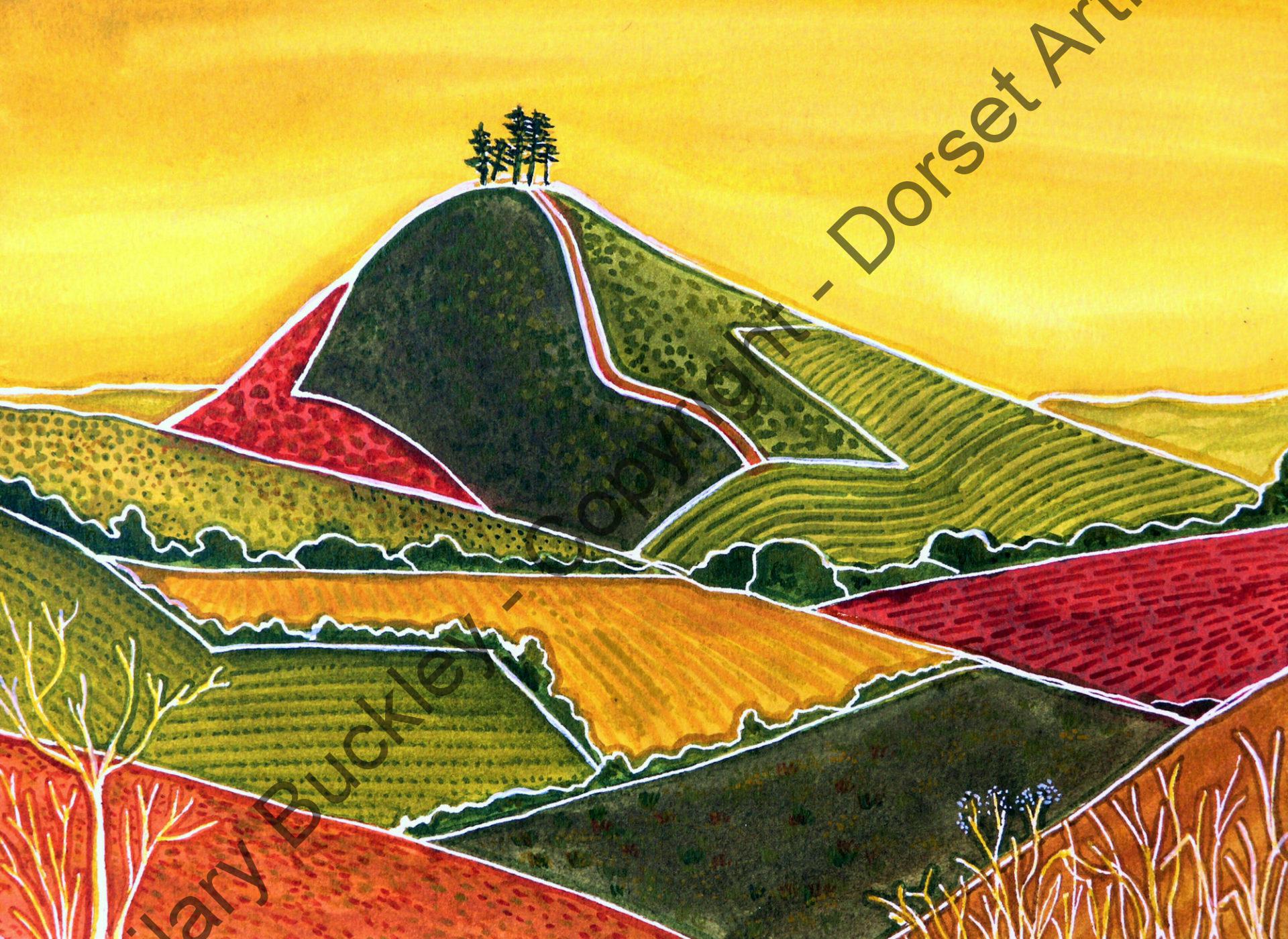 Patterns of Colmer's Hill