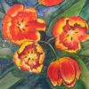 Red and Yellow Tulips