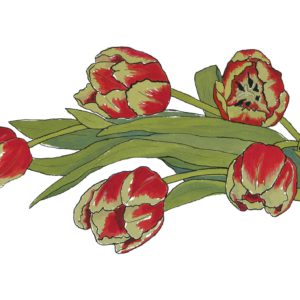 Tulips