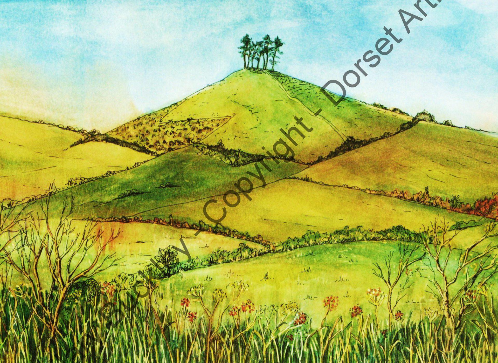 View of Colmer's Hill