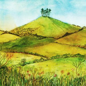 View of Colmer's Hill