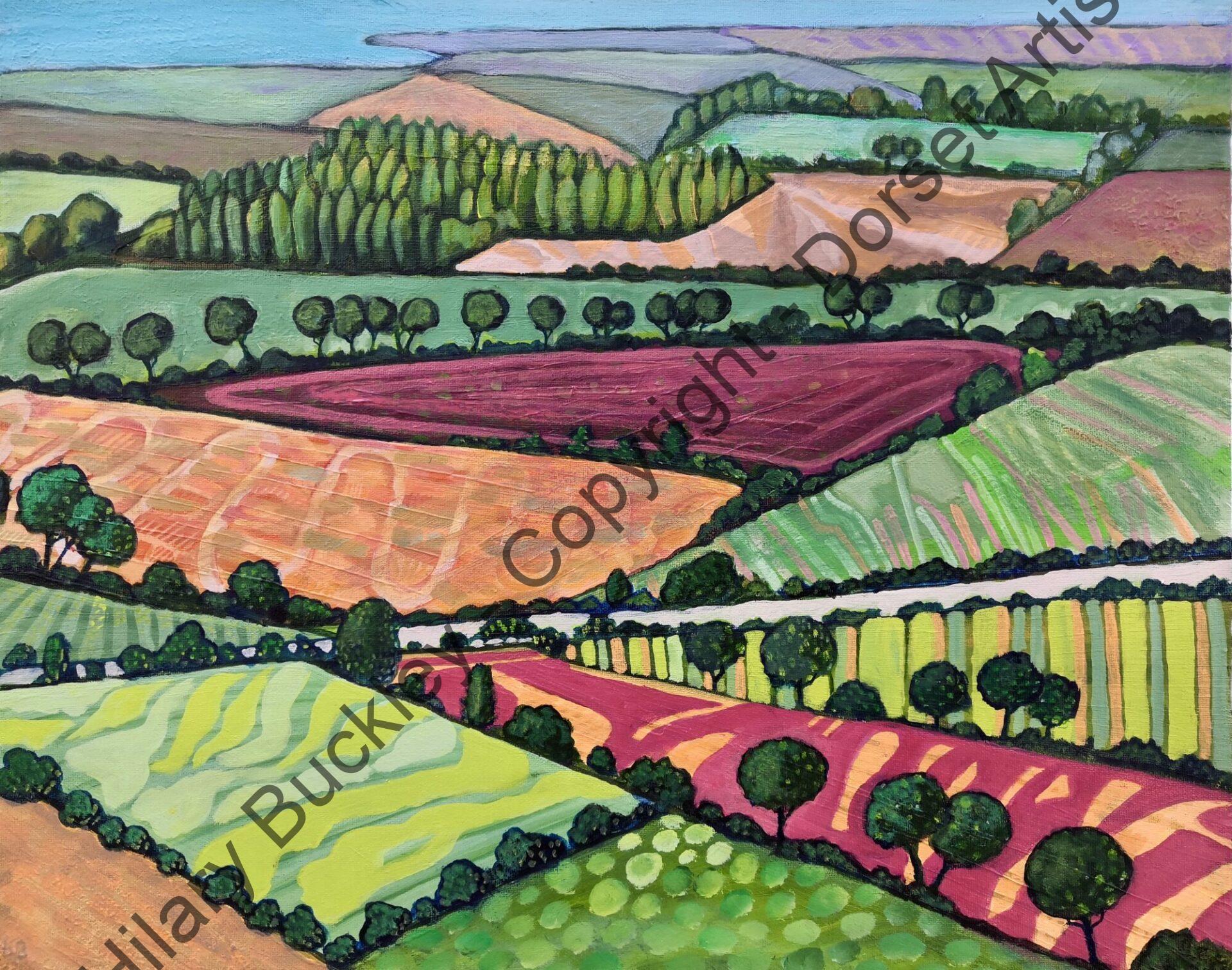 Patterned Panorama