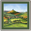 Symondsbury and Colmer's Hill