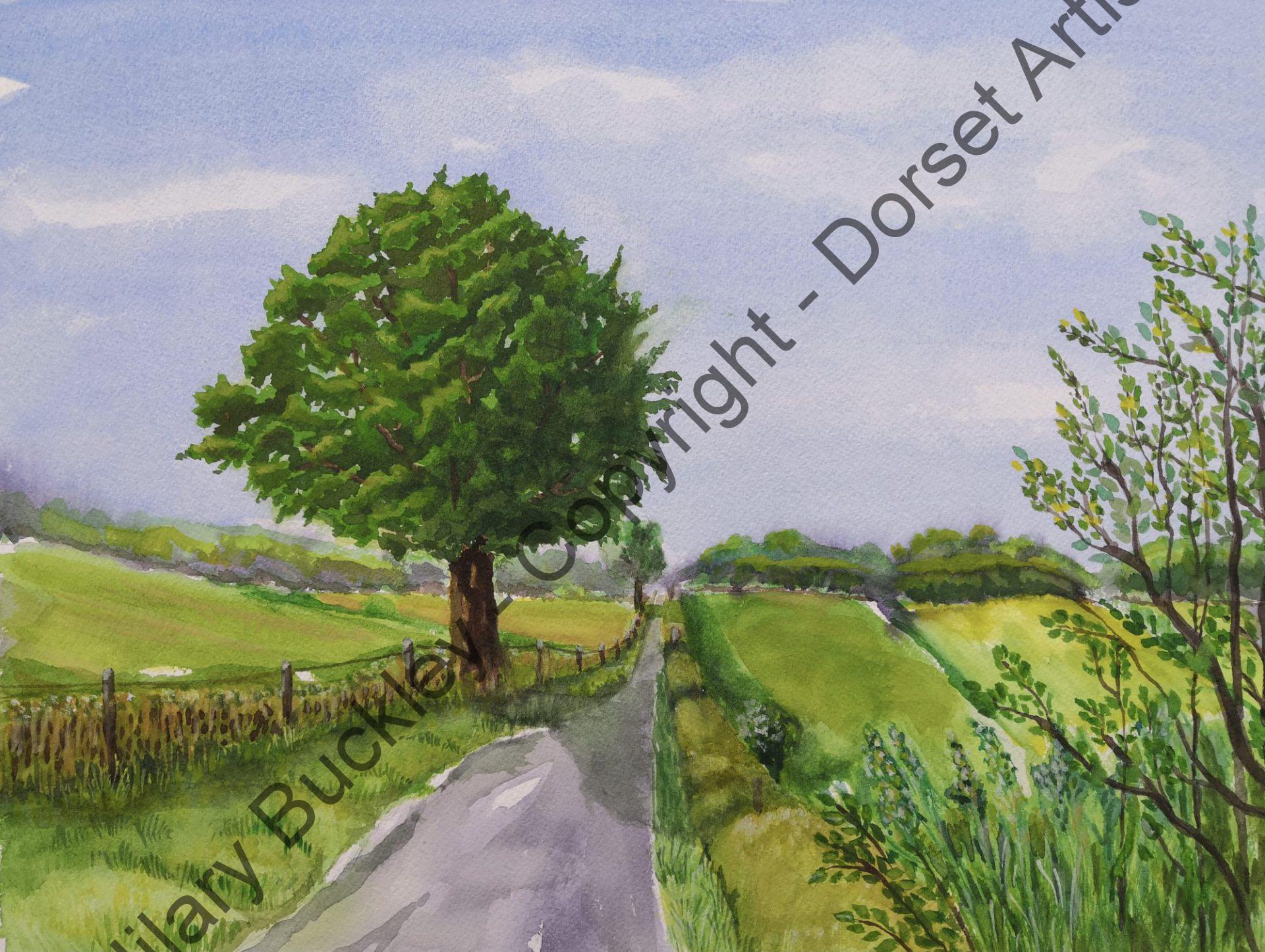 Along the Lane