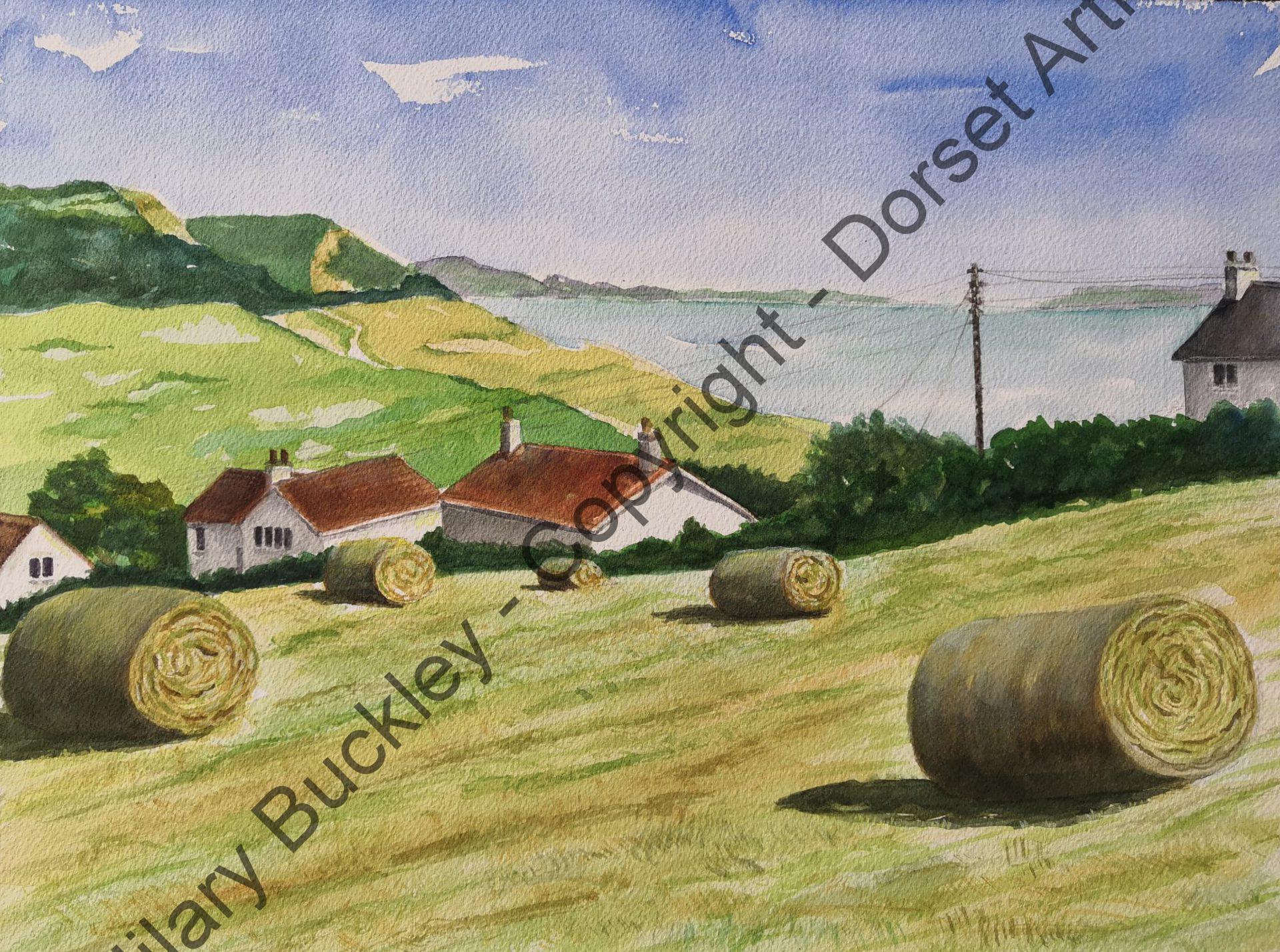 Charmouth Hayfield