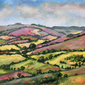From Bulbarrow Hill