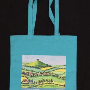 Turquoise bag with Green Fields to Colmer's Hill