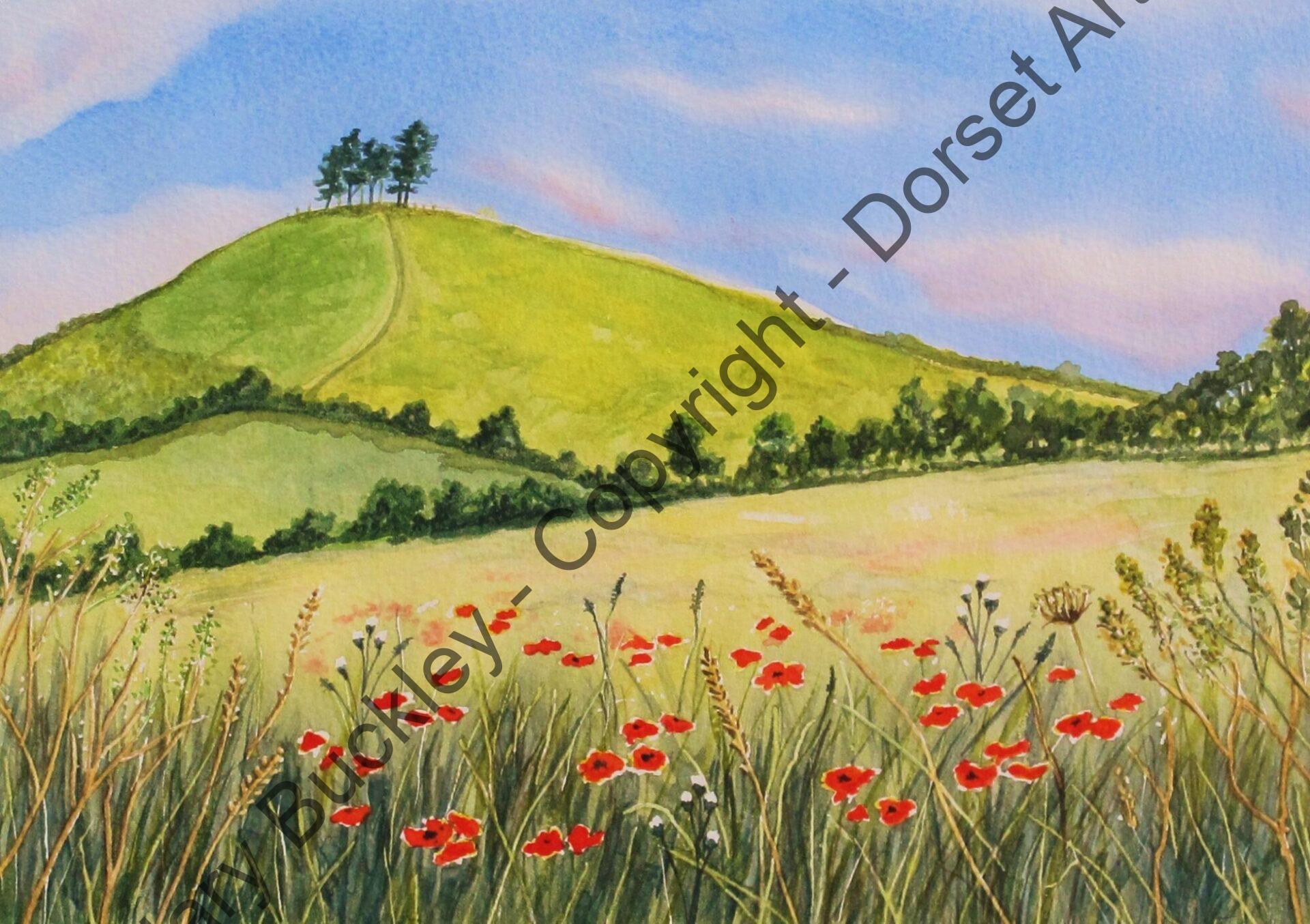 Colmer's Hill Poppies